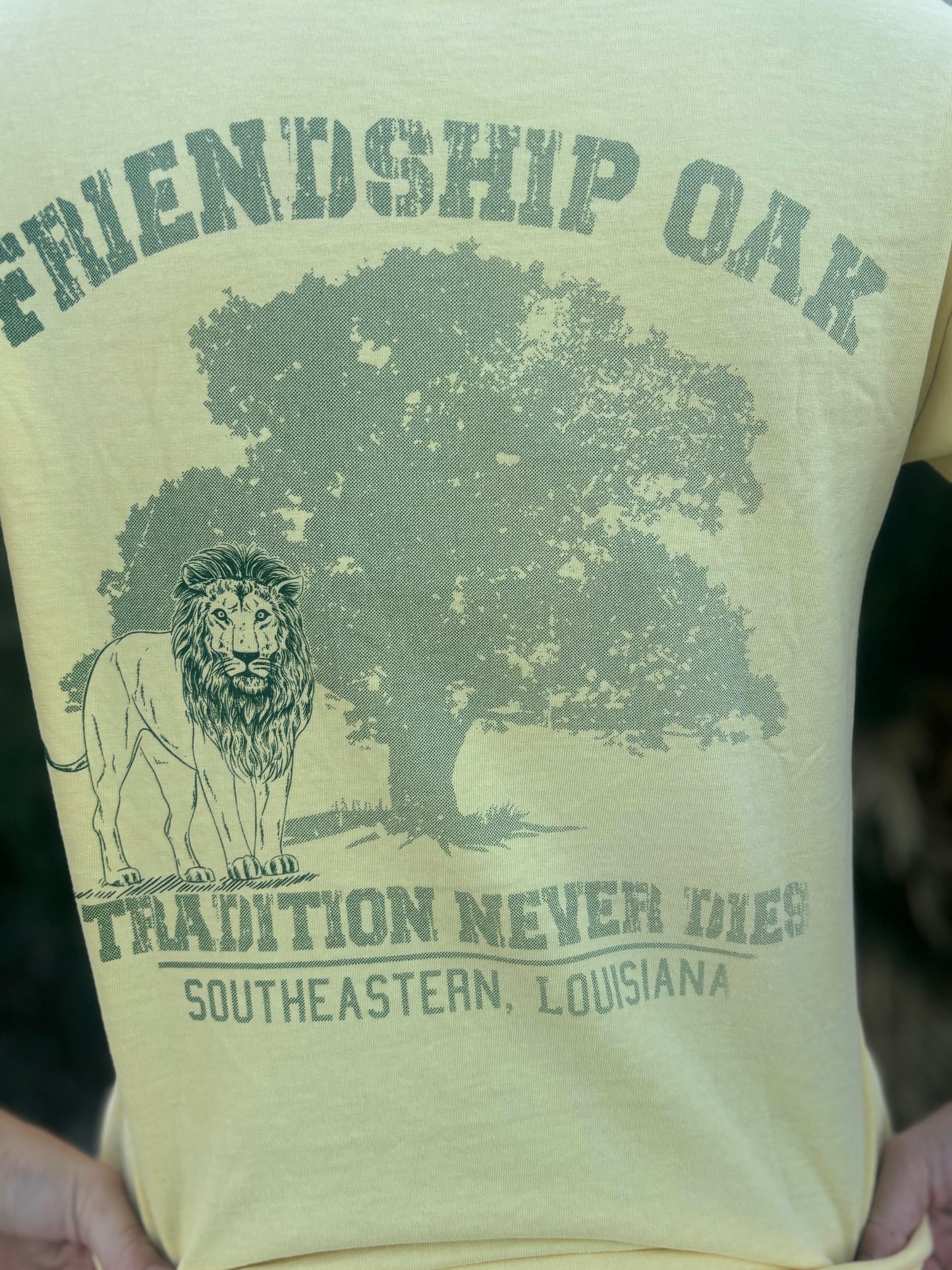 Friendship Circle Tee